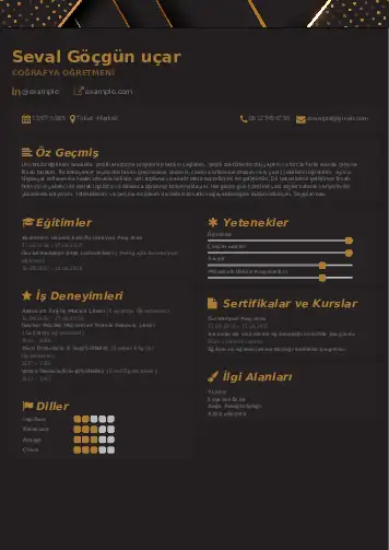 Coğrafya Öğretmeni CV Örnekleri cv indir